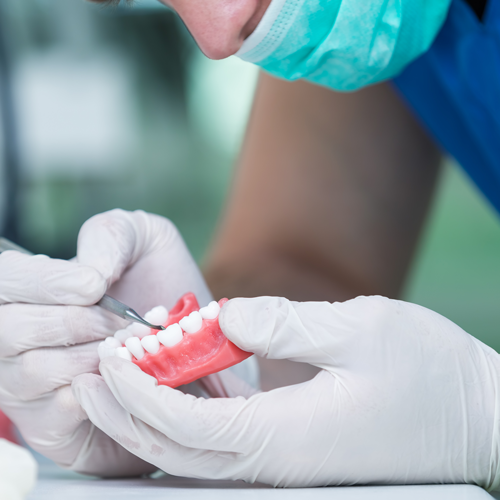 Dentist working on a set of dentures